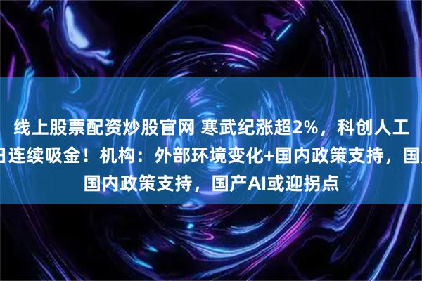 线上股票配资炒股官网 寒武纪涨超2%，科创人工智能ETF近2日连续吸金！机构：外部环境变化+国内政策支持，国产AI或迎拐点